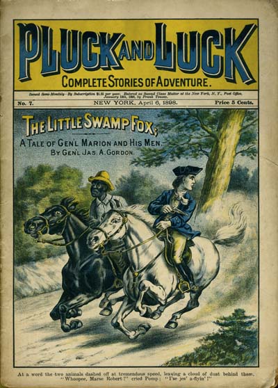 Pluck And Luck Dime Novel