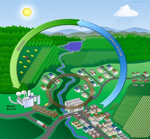 Biomass Energy Process