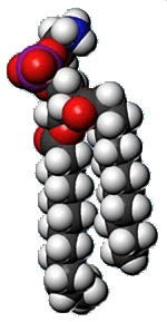 Space Filling Phosopholipid